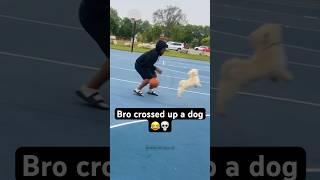 Bro Crossed Up a Dog  #shorts