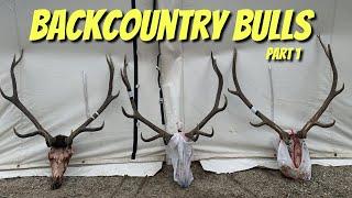 Backcountry Rifle Elk/Mule Deer Hunt Part 1