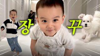 [VLOG] 평화롭지만 평화롭지 않은() 일상