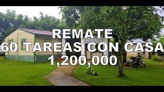 Se Remata Finca en Venta 20241201B | Ver Información en la descripción del vídeo