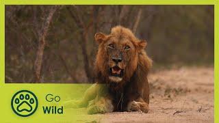 Sunrise Sunset - Africa's Wild Wonders - Go Wild