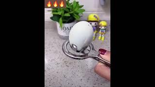 Сплиттер из нержавеющей стали Wonderlaife для яиц https://clck.ru/eeK7J