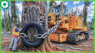 Most Extreme Dangerous Fastest Big Chainsaw Cutting Tree Machines | Best of Month