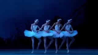 SWAN LAKE - Little Swans (Evgenia Obraztsova, Svetlana Ivanova, Irina Golub & Olesya Novikova)