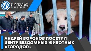 Андрей Воронов проверил, в каких условиях содержатся животные в центре «ГороДог»