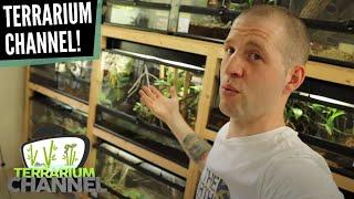 High Quality Reptile Care with a Large Collection | Stefan Wennekes - The Animals at Home Podcast