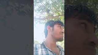 ashish jk p u(2)