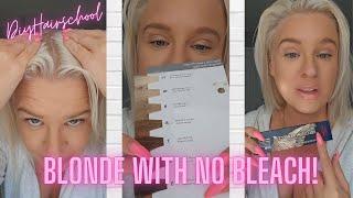 How To Get Platinum Blonde Hair WITH NO BLEACH