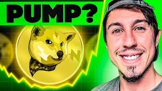 NEIRO Price Prediction | NEIRO News - HUGE PUMP Coming?!!?