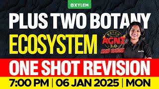 Plus Two Botany | Ecosystem - One Shot Revision | Xylem Plus Two