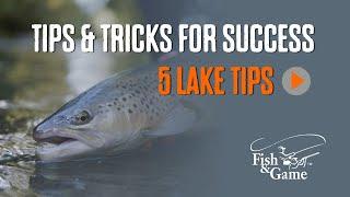 5 quick lake fishing tips