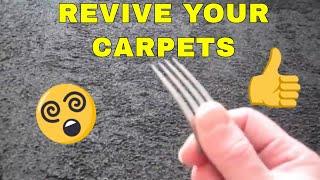 DIY How To Restore Carpet Pile (The Yorkshire Digger)