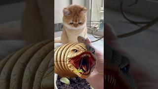 A sand worm…in real life? #cat #horror #sandworm