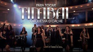 Orquesta Femenina D'Cache - Para Tocar Timbal (Video Oficial) | Salsa Para Bailar