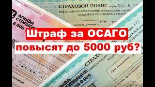 Штраф за ОСАГО повысят до 5000 рублей?