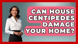 Can House Centipedes Damage Your Home? - Insects and Invaders