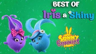 Best of Iris & Shiny | Celebrating International Women's Month  - Sunny Bunnies | Cartoons For Kids