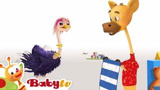 Gee-Raffa - Ostrich and the Towel  | Summer Fun  | Cartoons for Kids @BabyTV