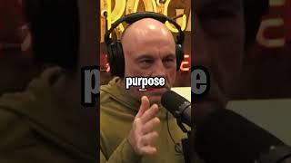 Joe Rogan Hillary Clinton Discovery