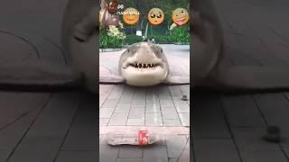 https://youtube.com/shorts/8WjG00qoAuM?si=MTf8ODvg8RhUaUKf