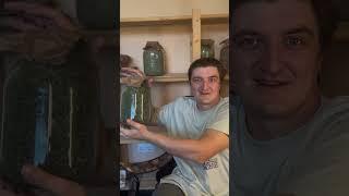 Лучшая трава для твоего здоровья!
