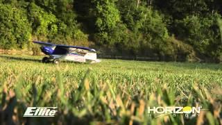 E-flite Carbon-Z Cub von Horizon Hobby