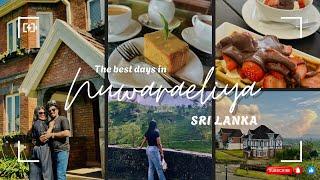 Exploring the Beauty of Nuwara Eliya, Sri Lanka  | Tea, Strawberries & Scenic Views | Travel Vlog