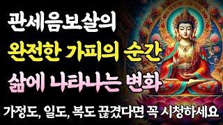 관세음보살의 완전한 가피가 시작되는 순간 나타나는 변화ㅣ부처님 말씀ㅣ불교 명언