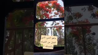 قال رسول الله صلي الله عليه وسلم تسليما كثيرا مباركا فيه #صلوا_على_النبي