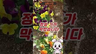 22살 아들이 14살 연상녀와 결혼한다는 말에 기절할뻔 했습니다 #인생사연 #실화사연 #노후사연 #연상
