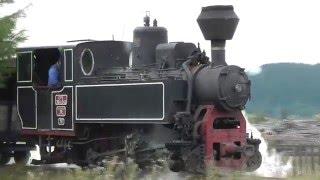 Steam in Romania, 2015 -  Comandau Part 2