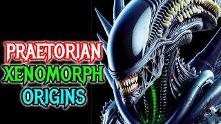 Praetorian Xenomorph Explored - A Rare, Powerful And Dominant Guards Of Queen Xenomorphs