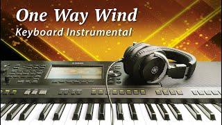 One Way Wind - The Cats (Cover) Instrumental - Yamaha PSR-SX900 Keyboard