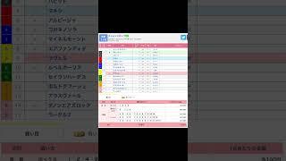 土曜競馬。メインレースを予想！ 飛騨ステークス（中京）、チャレンジカップ（G3）（京都）、ステイヤーズステークス（G2） #中京競馬場 #京都競馬場 #中山競馬場 #予想 #買い目 #土曜日