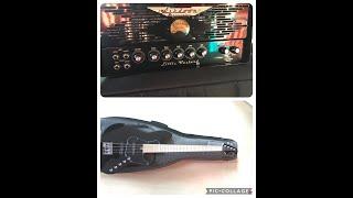Ashdown Little Bastard 2 N + Cort Elrick NSJ4 (Passive)