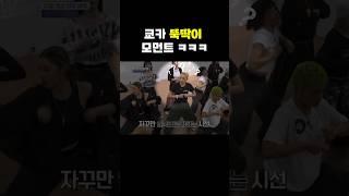 뚝딱 고양이 #kyoka #쿄카