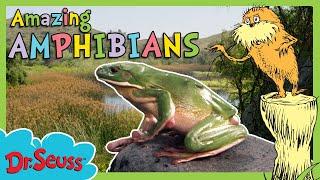 Amazing Amphibians | Brand New Full Episode | The Lorax Nature Keepers Club | Dr. Seuss