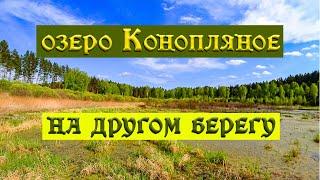 204.Окунево.Озеро Конопляное с противоположного берега. На озере  изменения. Что значит "внутри".