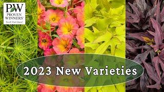 Proven Winners 2023 New Varieties (Part 1)