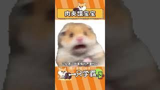 建議所有小吃都有寶寶版#小吃 #肉夾饃寶寶 #算了你肯定覺得沒意思 （素材來源：泡芙 ）
