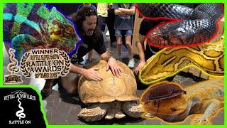 REPTILE SUPER SHOW LAS VEGAS 2022!