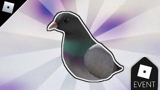 [EVENT] [ON MOBILE] How to get the Vans Pigeon Shoulder Pet in Vans World! | Roblox