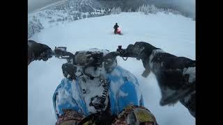 Awesome tree riding hunters range (skidoo 850)