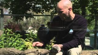 Belgrade Zoo 2011 Episode 6 Part 1