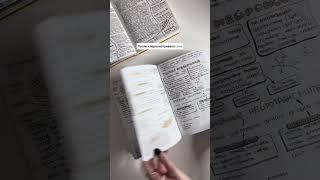 Как я перешла на печатные буквы 