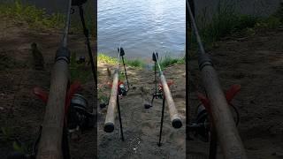 Приехали на рыбалку,  сейчас будем балдеть, ловить рыбу. #рыбалка