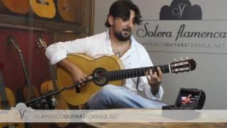 Antonio Rey in Solera Flamenca: "INTRO & ALMA"