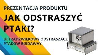 Odstraszanie ptaków. Ultradźwiękowy odstraszacz ptaków Birdaway. Ochrona przed ptakami.