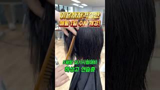 #이용사자격증 #이용학원