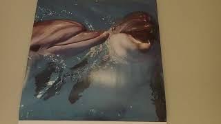 The Dolphin Calendar